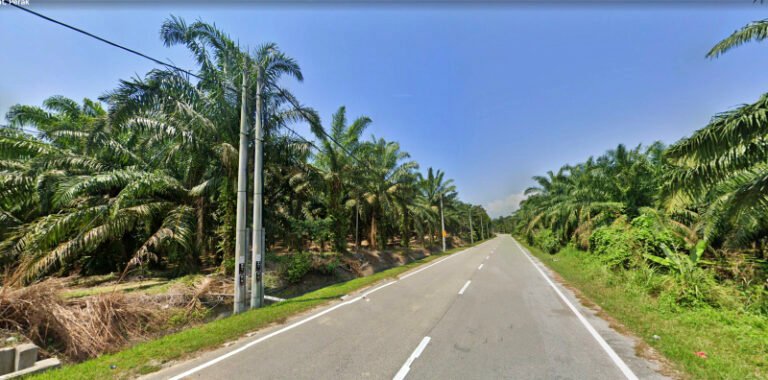 Screenshot 2024 06 21 at 5.29.36 PM 768x380